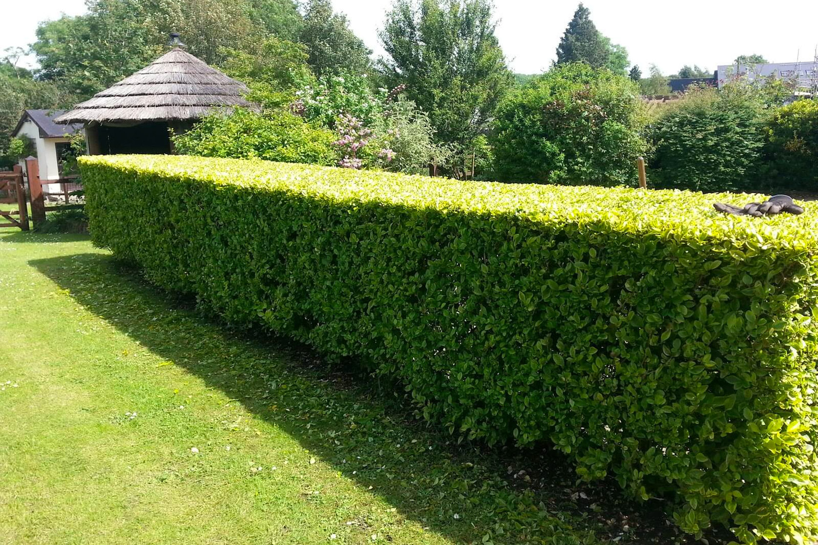 Green Hands Gardening Service