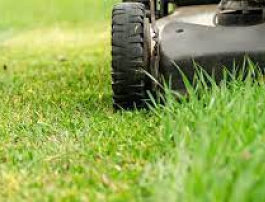 Lawn Cutting