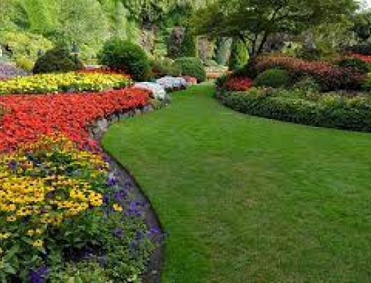 Landscaping