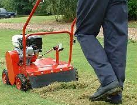Lawn Scarifying